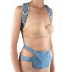 Spinal Plus Νάρθηκας Κορμού Spinal Plus σε Γκρι Χρώμα Ortholand 
